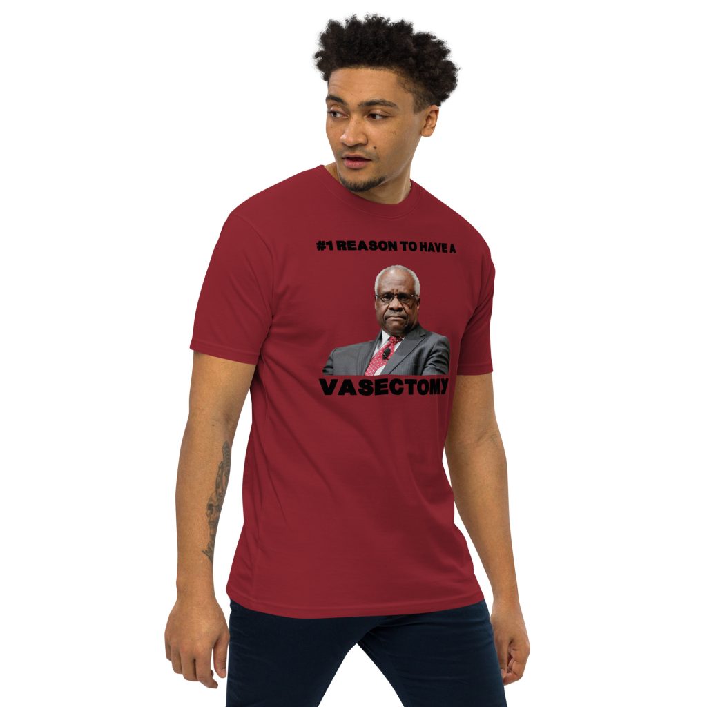 Dane Reid Forget Having Kids I'm Having Fun Mens Premium Heavyweight Tee Brick Red Right Front